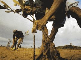 Marketing 3.0, cultivar valores para vender