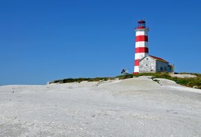 Safe Harbor ¿ Que alternativas tienes?